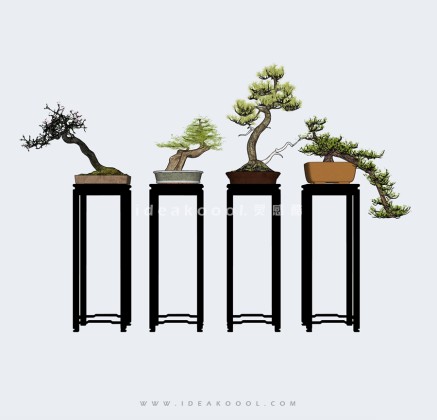 中式造型松植物盆栽盆景摆件丨