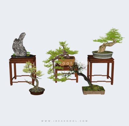 中式造型松植物盆栽盆景摆件丨