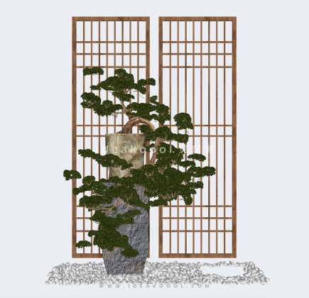 中式造型松植物盆栽盆景摆件丨