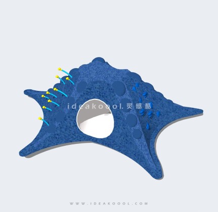 海洋主题 海星攀爬地形钻洞丨