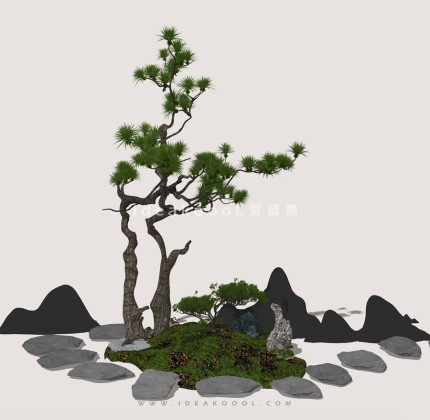 中式造型松 石头汀步 山水造型景观石组景丨