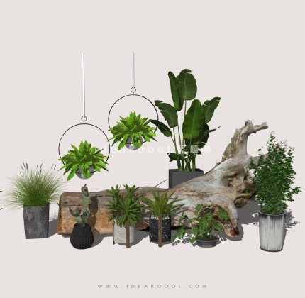 中式禅意景观小品组景 枯树枯枝 开花造型植物 盆栽丨