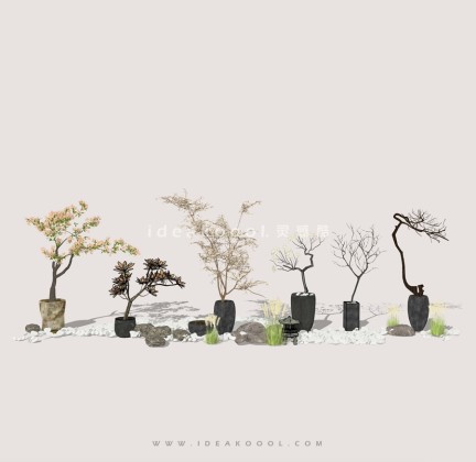 枯枝枯木盆栽造型植物丨