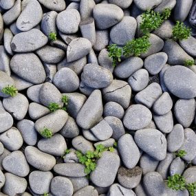 卵石 砾石 石子丨113