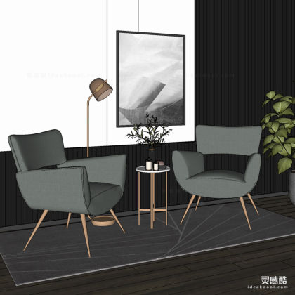 单人沙发 茶几 落地灯 挂画 地毯丨