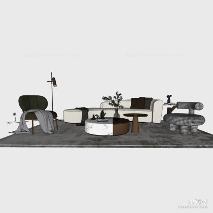 异形沙发茶几组合 单人沙发 地毯丨