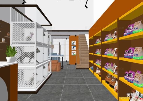 宠物店丨