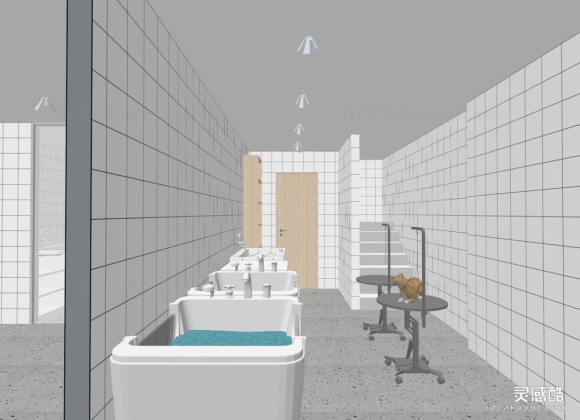 宠物店 宠物洗澡丨