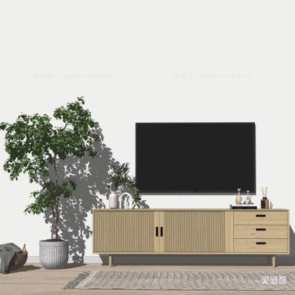 北欧轻奢电视柜 盆栽丨