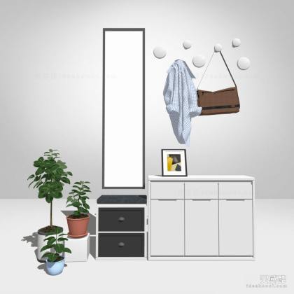 鞋柜 盆栽丨