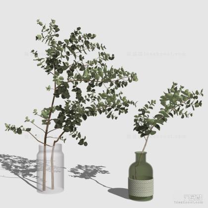 花瓶绿植丨