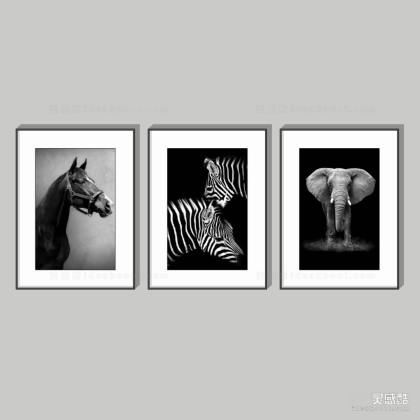 现代黑白摄影挂画丨