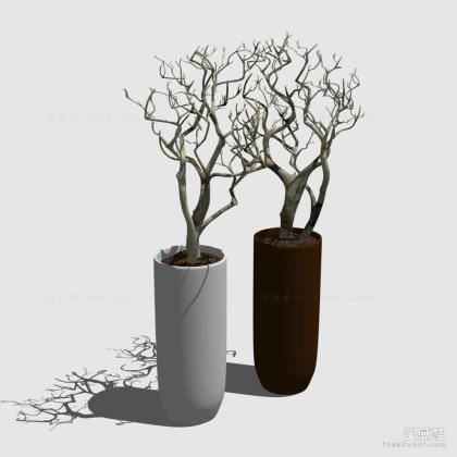 花瓶盆栽装饰丨