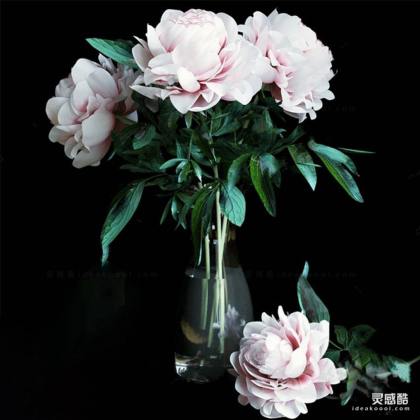 花瓶花艺插花 鲜花丨