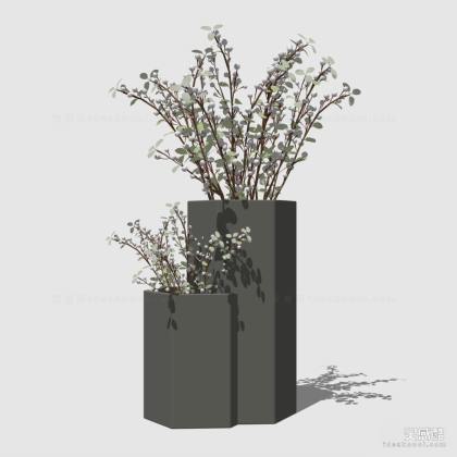 花瓶花艺插花丨