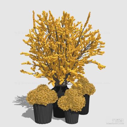 花瓶花艺插花丨