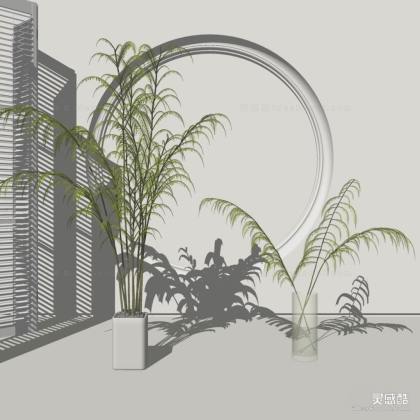 盆栽花瓶绿植丨