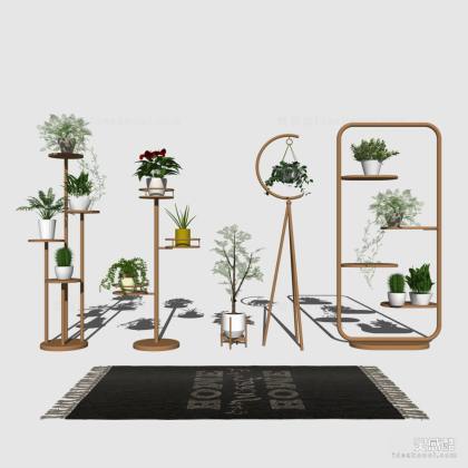 盆栽驴子花架丨