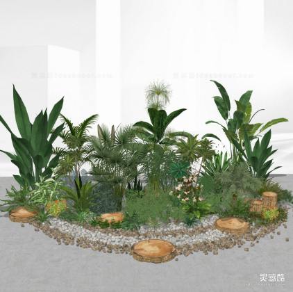 景观植物 灌木丛丨