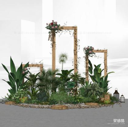 景观植物 灌木丛丨