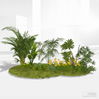 景观植物 灌木地被丨