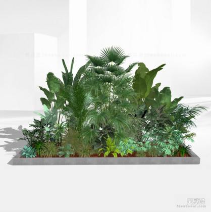 景观植物 灌木地被丨