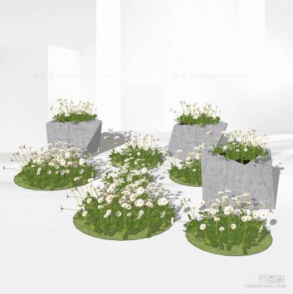 景观植物 灌木地被花卉丨