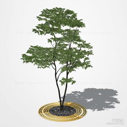 植物 树篦子丨
