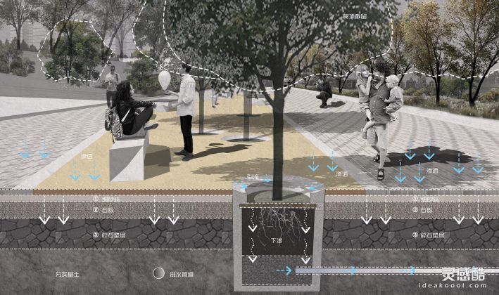 海绵城市 生态树池雨水收集利用 剖面图丨