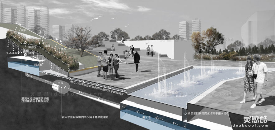 海绵城市 生态树池雨水收集利用 剖面图丨