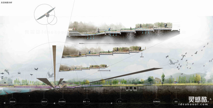 滨水生态公园绿地剖面图丨