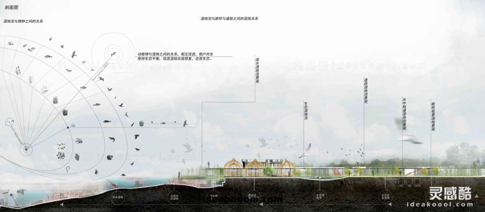 滨水生态公园绿地剖面图丨