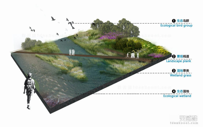 滨水河道湿地景观剖面图效果图丨