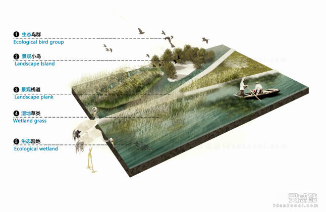 滨水河道湿地公园景观剖面图效果图丨