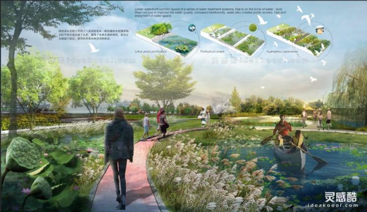 拼贴风滨水生态公园景观效果图丨