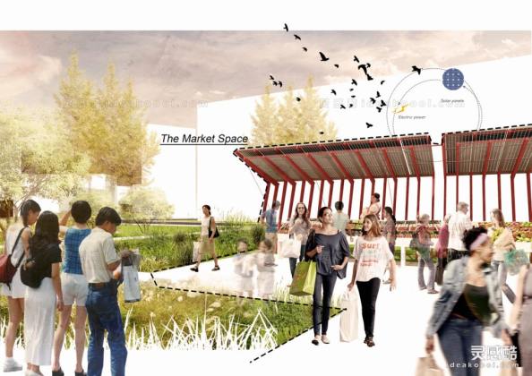 公园活动广场绿地效果图丨