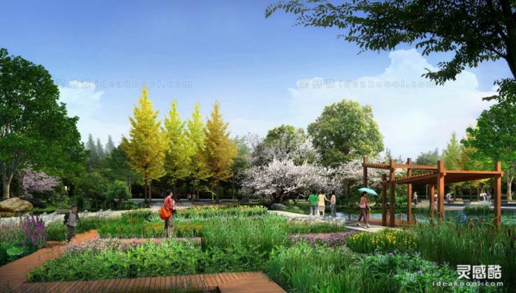 创意植物园景观效果图丨