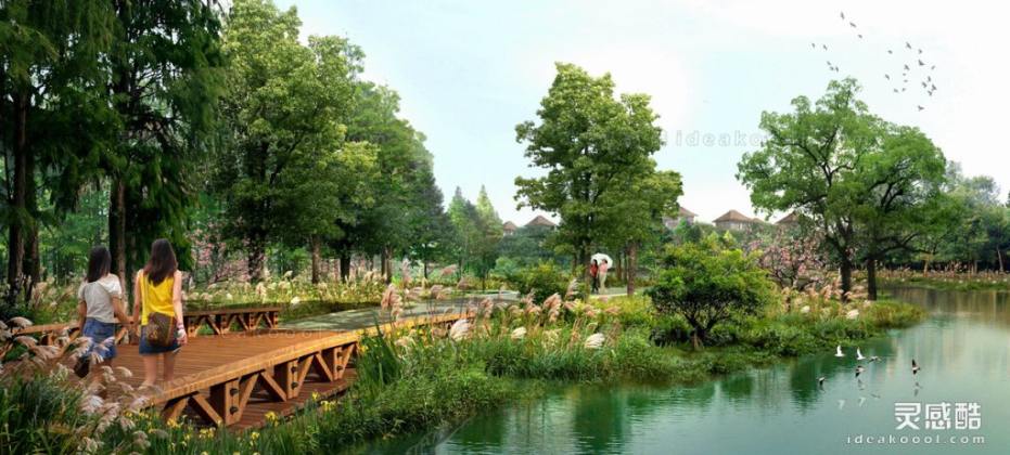 滨水河道湿地效果图丨