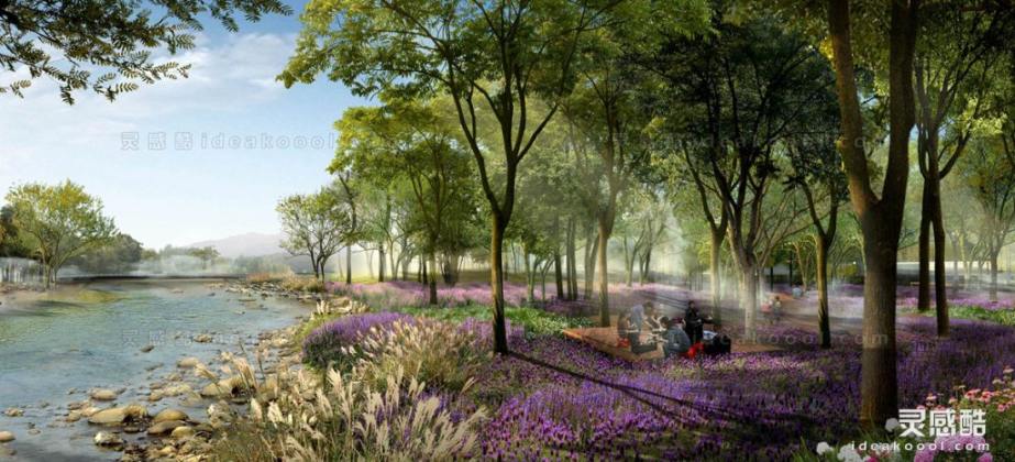滨水河道湿地花海效果图丨