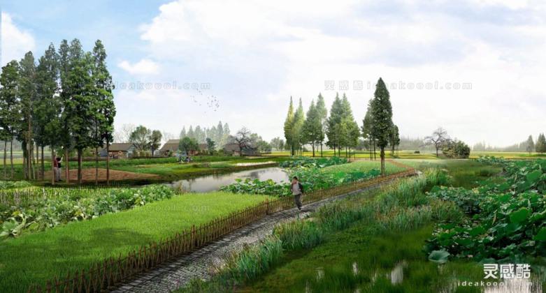 田间小路效果图丨