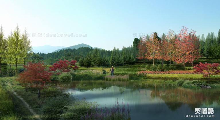 滨水河道湿地效果图丨
