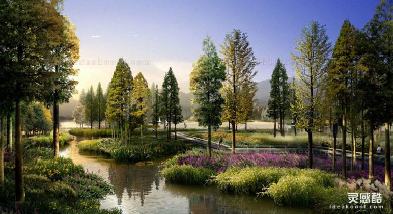 滨水河道湿地效果图丨