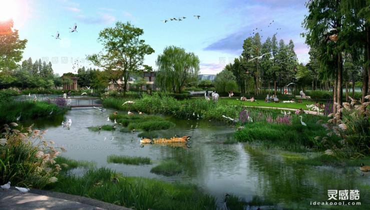 滨水河道湿地效果图丨