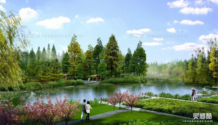 滨水湿地效果图丨