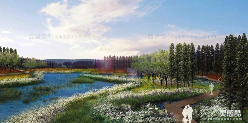 滨水河道湿地效果图丨