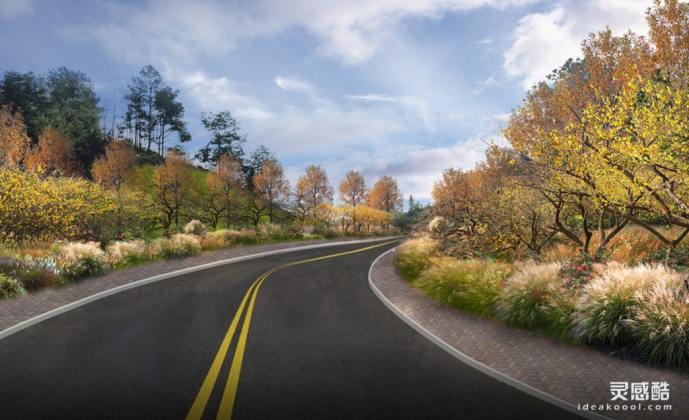 道路花境绿化效果图丨