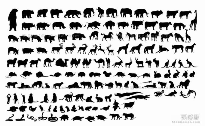 动物剪影丨
