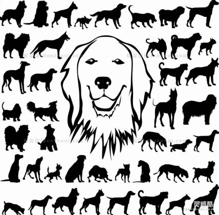 宠物狗 小狗 动物剪影丨