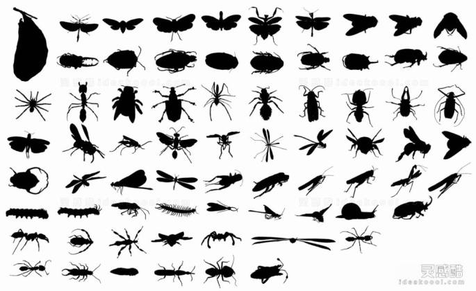 蝴蝶 蚂蚁 蜻蜓 草蜢 蜘蛛 苍蝇 蜈蚣 虫子 蛾子 甲虫 昆虫剪影丨