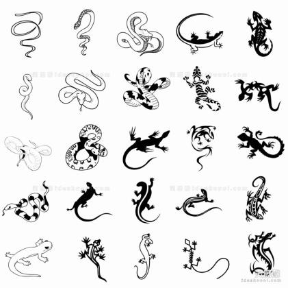 爬行动物剪影丨